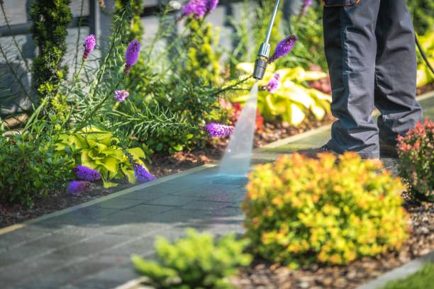  Northvale, NJ Pressure Washing Pros
