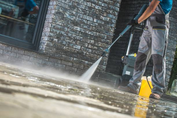 Best Animal Enclosure Cleaning  in Northvale, NJ