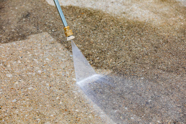 Animal Enclosure Cleaning in Northvale, NJ